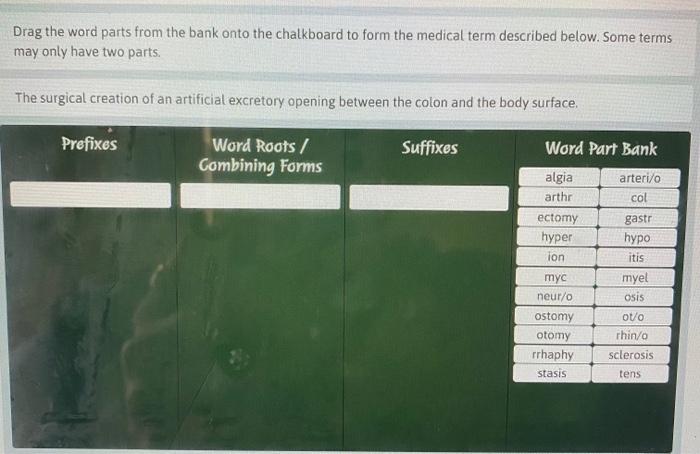 Solved Drag the word parts from the bank onto the chalkboard | Chegg.com