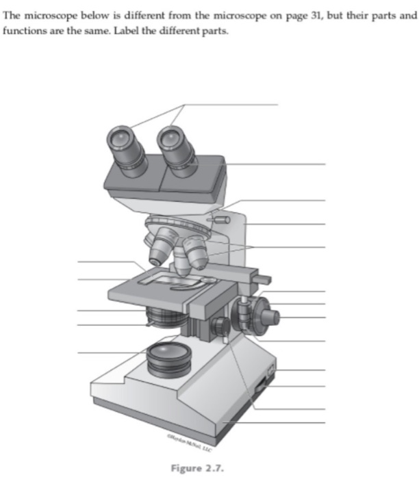 Solved The microscope below is different from the microscope | Chegg.com