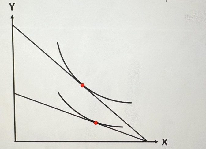 Solved by an EXPERT The above figure illustrates the optimal choices ...