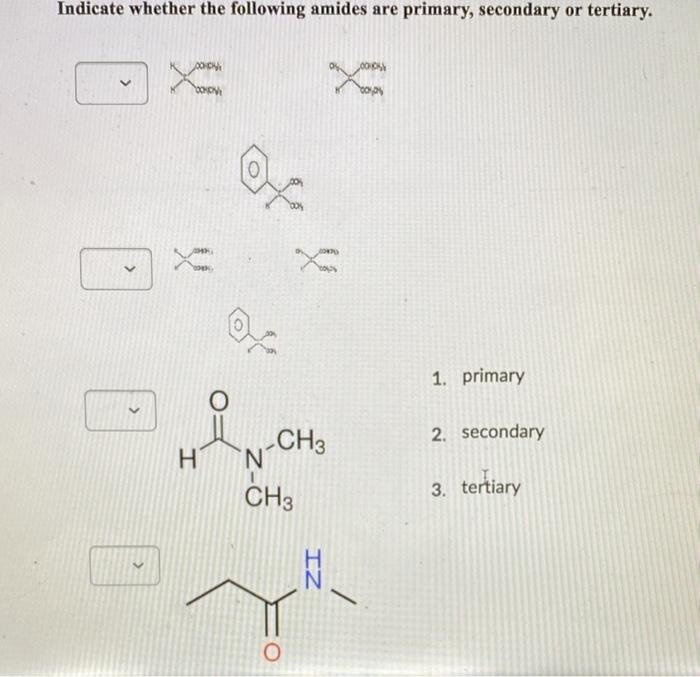 Solved Indicate whether the following amides are primary, | Chegg.com