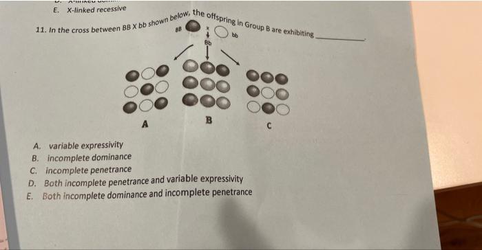 [Solved]: 11. In The Cross Between ( B B Times B B ) Sho