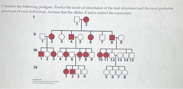 Consider the following pedigree. Predict the mode of inheritance of the trait of interest and the most probable genotype of e