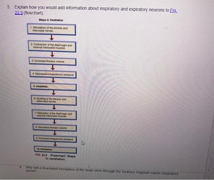Solved 3 Explain How You Would Add Information About Chegg