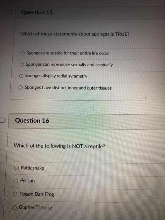 Solved Question 15 Which of these statements about sponges