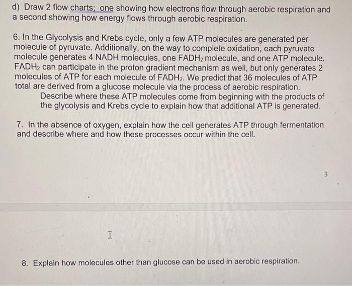 d) Draw 2 flow charts; one showing how electrons flow through aerobic respiration and a second showing how energy flows throu