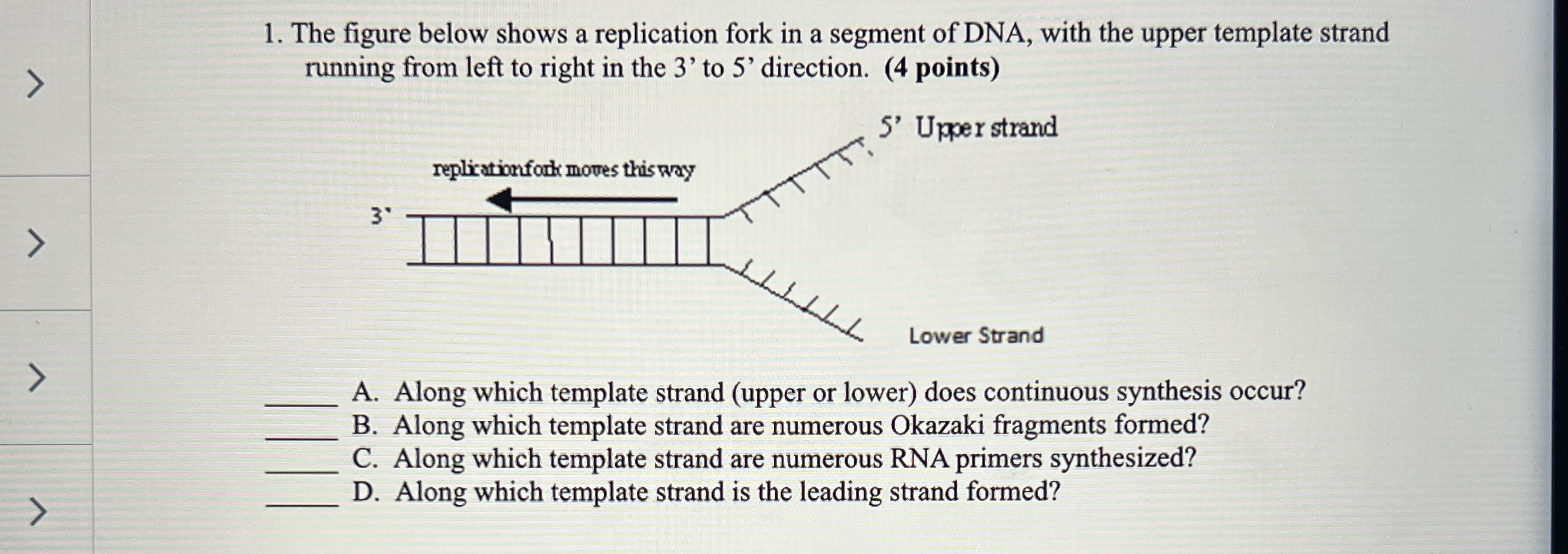 Solved The Figure Below Shows A Replication Fork In A Chegg Com