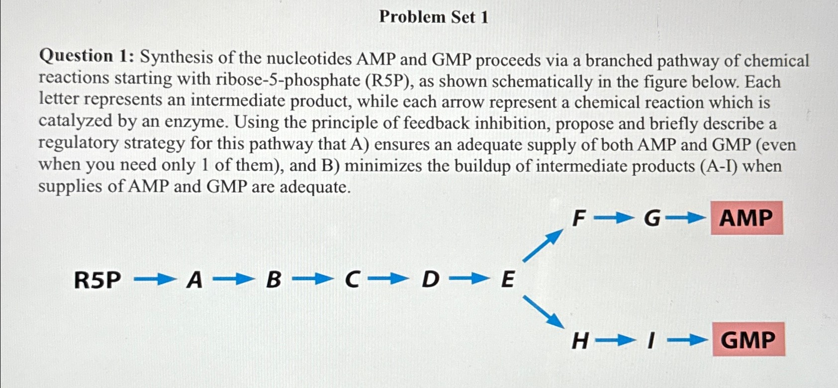 Solved Problem Set 1Question 1: Synthesis of the nucleotides | Chegg.com