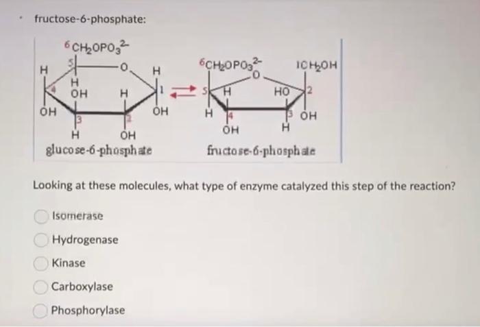 Solved fructose-6-phosphate: Looking at these molecules, | Chegg.com