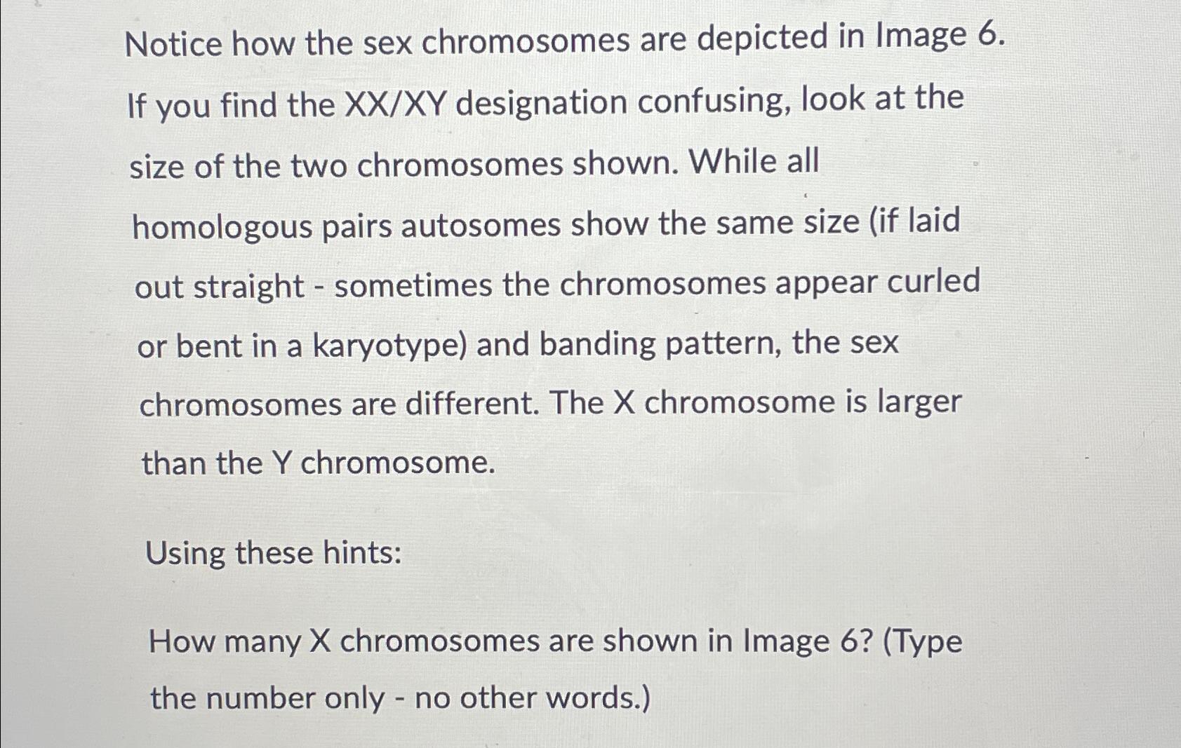 Solved Notice how the sex chromosomes are depicted in Image | Chegg.com