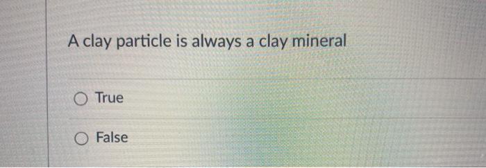 A clay particle is always a clay mineral O True O False