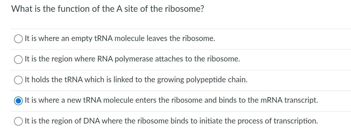 What is the function of the \( A \) site of the ribosome?
It is where an empty tRNA molecule leaves the ribosome.
It is the r