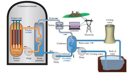 Solved: Identify the segments of the nuclear power plant diagramme ...