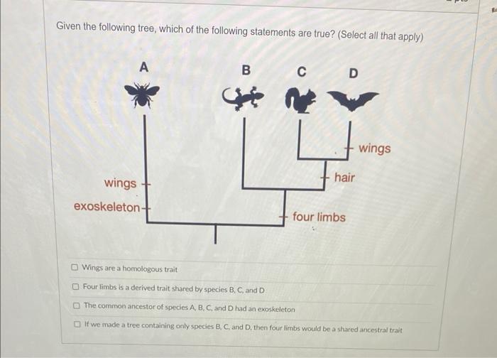Solved Given the following tree, which of the following | Chegg.com