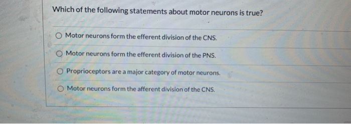 Solved Which of the following statements about motor neurons | Chegg.com