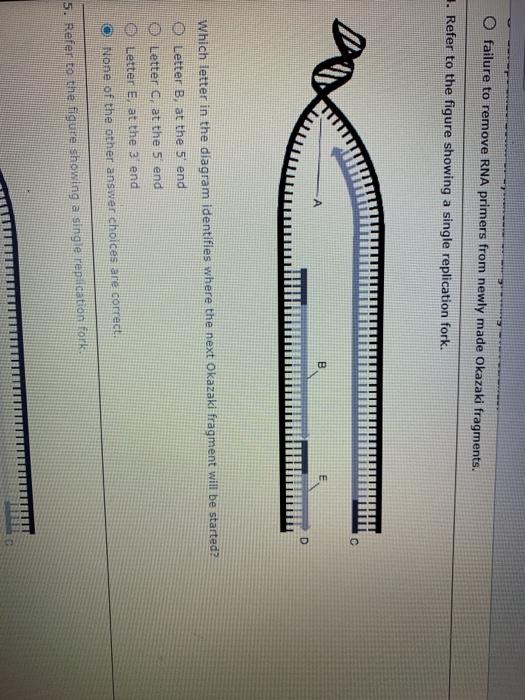 Solved O failure to remove RNA primers from newly made