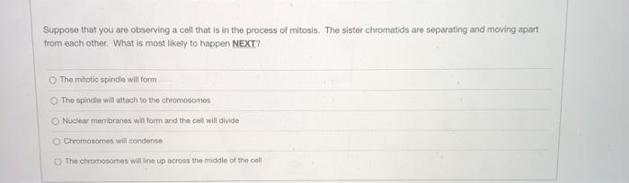 Solved Suppose that you are observing a cell that is in the | Chegg.com