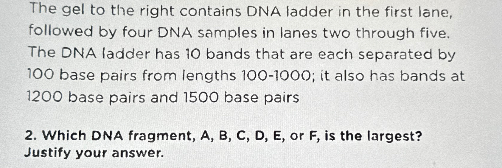 Solved The gel to the right contains DNA ladder in the first | Chegg.com
