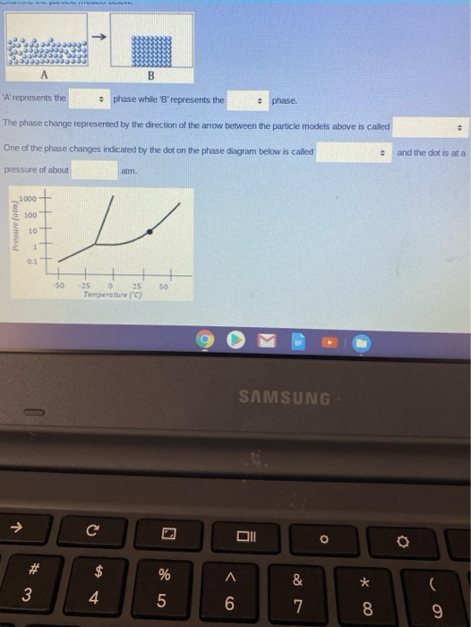 Solved B 'A' Represents The • Phase While 'B' Represents The | Chegg.com