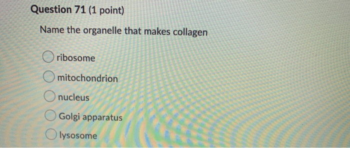 Solved Question 75 (1 point) Which of the following is an | Chegg.com