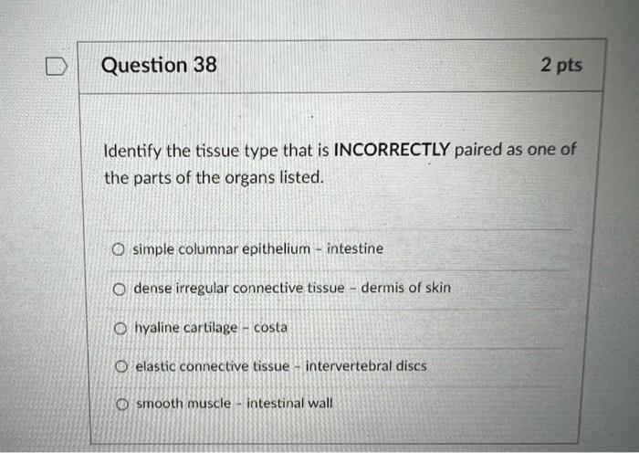 Identify the tissue type that is INCORRECTLY paired as one of the parts of the organs listed.
simple columnar epithelium - in