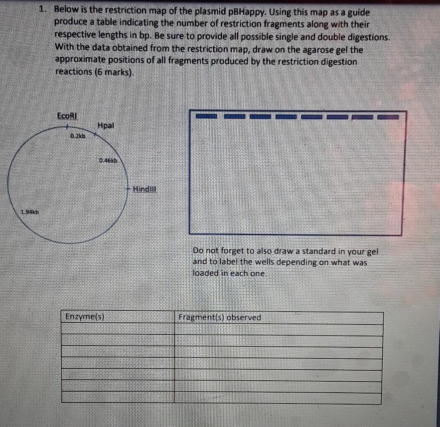 Solved 1. Below is the restriction map of the plasmid | Chegg.com