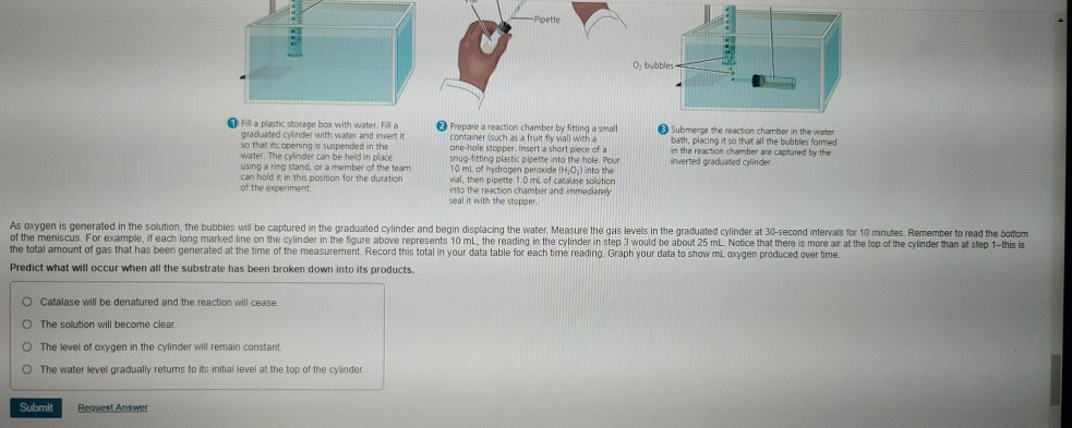 Solved 1 of 1 Part D-A typical enzyme experiment A common | Chegg.com