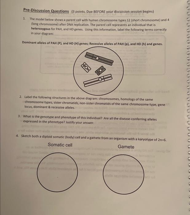 Solved Pre-Discussion Questions ( 3 points. Due BEFORE your | Chegg.com