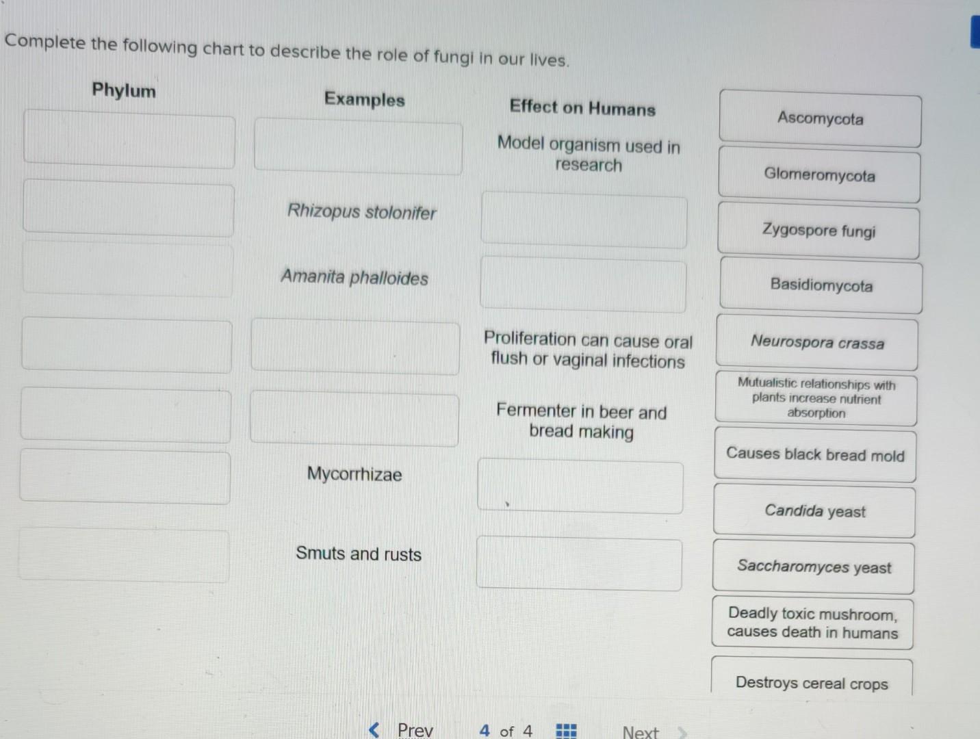 Solved Complete the following chart to describe the role of | Chegg.com