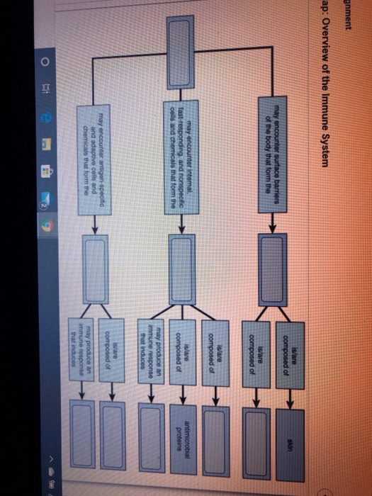 Solved gnment ap Overview of the Immune System is/are