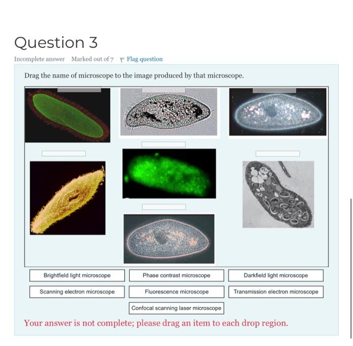 Solved Drag the name of microscope t Your answer is not comp | Chegg.com