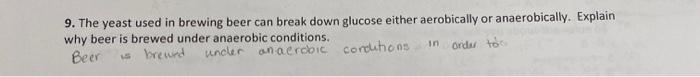 Solved 9. The yeast used in brewing beer can break down | Chegg.com