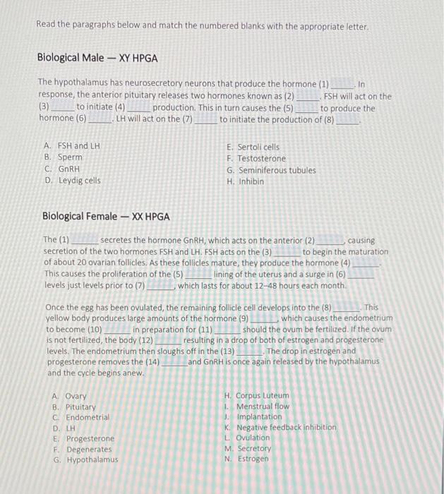 Solved Read the paragraphs below and match the numbered | Chegg.com