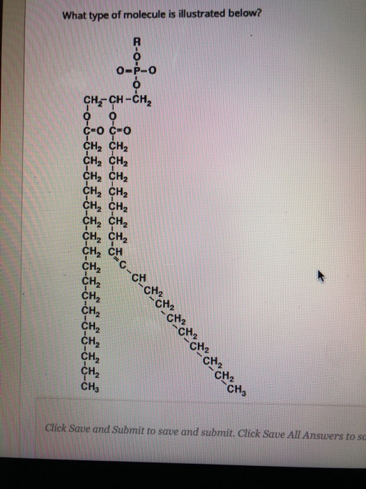 Solved What type of molecule is illustrated below? 0-P-0 1 | Chegg.com