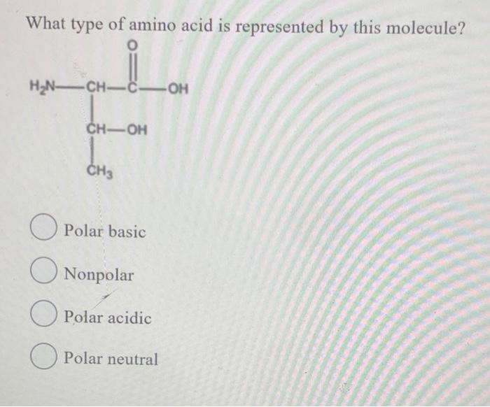 Solved What Type Of Amino Acid Is Represented By This | Chegg.com