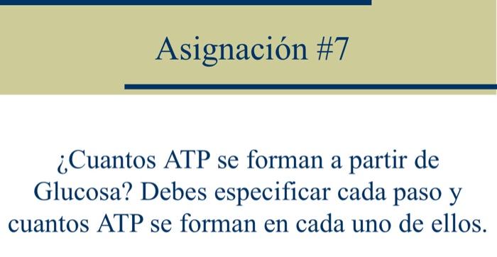 ¿Cuantos ATP se forman a partir de Glucosa? Debes especificar cada paso y cuantos ATP se forman en cada uno de ellos.