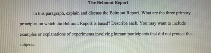 belmont essay requirements