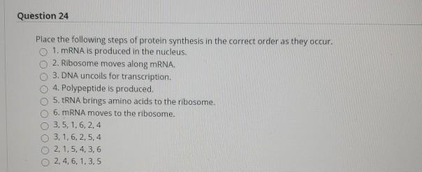 Solved Question 24 Place the following steps of protein | Chegg.com