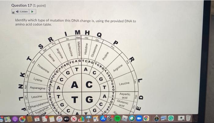 Solved Question 17 (1 point) Listen Identify which type of | Chegg.com