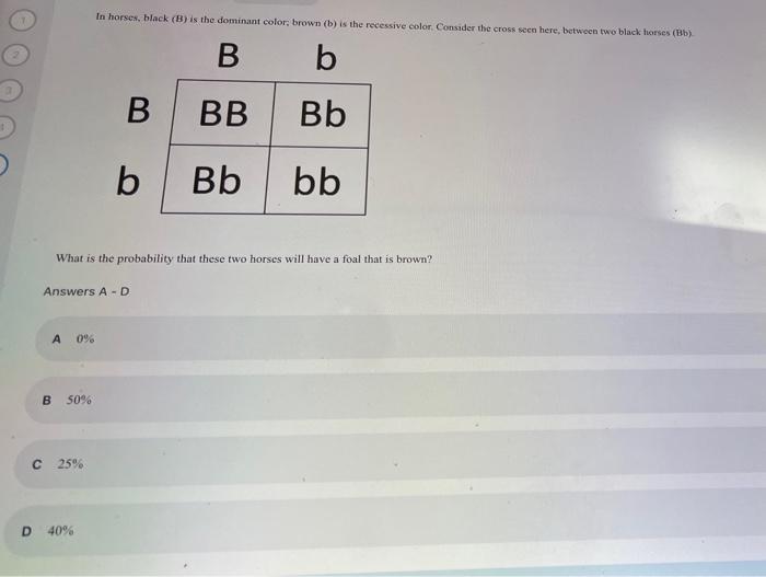 Solved In Horses, Black (b) Is The Dominant Color: Brown (b) 