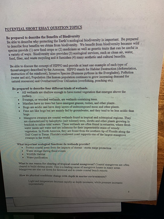 Potential essay ideas image