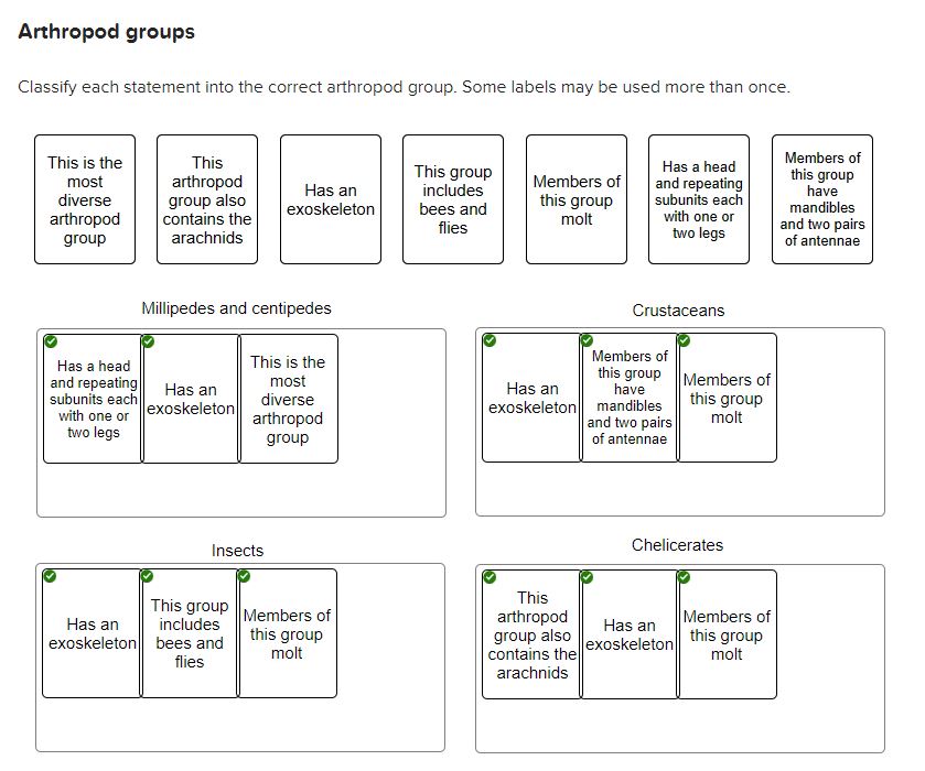 Solved Arthropod groupsClassify each statement into the | Chegg.com