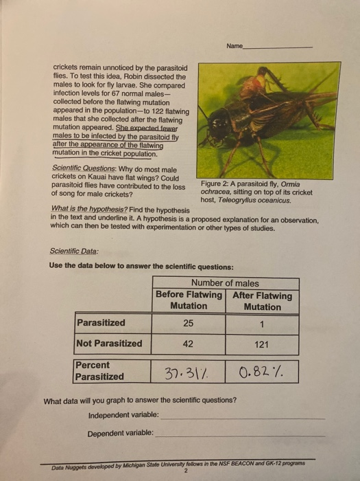 independent variable in cricket experiment