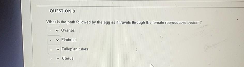 Solved Question 8what Is The Path Followed By The Egg As It Chegg Solved Question 8what Is The Path Followed By The Egg As It Chegg