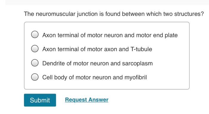 Solved The neuromuscular junction is found between which two | Chegg.com