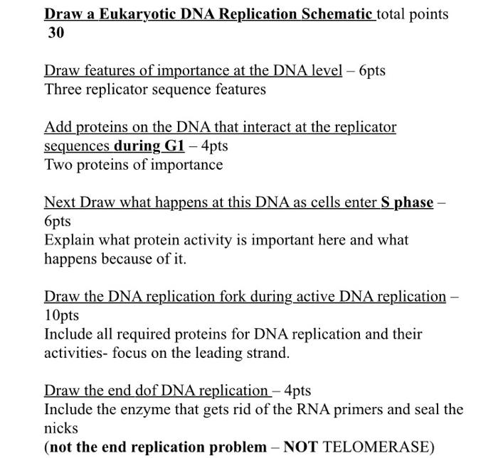 Solved Draw a Eukaryotic DNA Replication Schematic total | Chegg.com