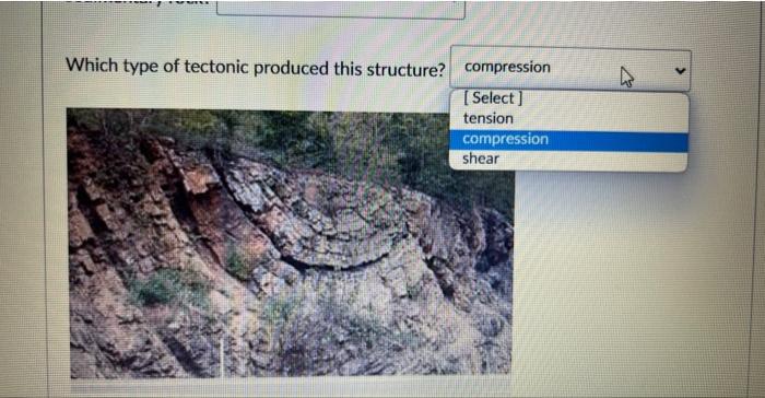 Solved Examine the image below. What type of geologic | Chegg.com
