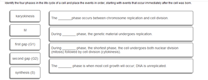 Solved Identify the four phases in the life cycle of a cell | Chegg.com