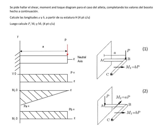 Se pide hallar el shear, moment and toque diagram para el caso del atleta, completando los valores del boceto hecho a continu