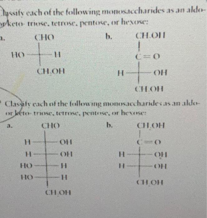 Solved I know this is kind of long but I just dont think I | Chegg.com