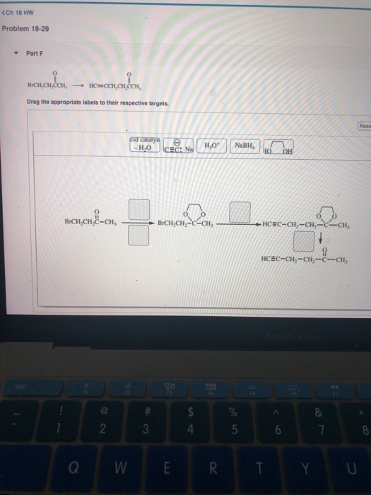 Solved Please make answers easy and simple for me to plug | Chegg.com